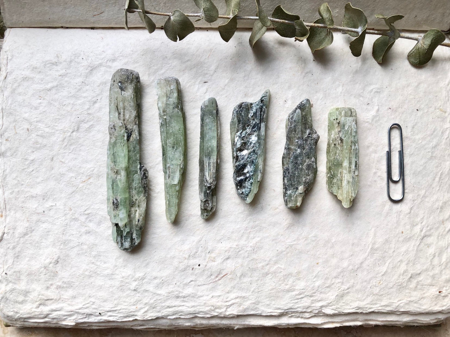 Raw Green Kyanite Blade Crystal - Small to Medium - Choose Quantity