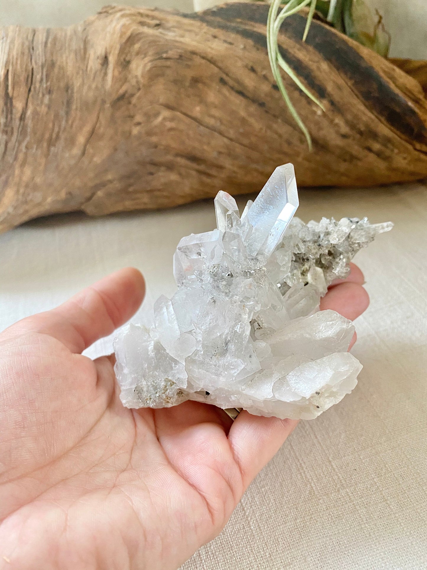 Clear Quartz Crystal Point Cluster with long slender points, double termination - Rock Shop