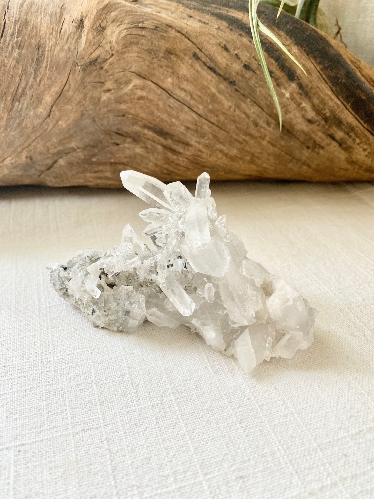 Clear Quartz Crystal Point Cluster with long slender points, double termination - Rock Shop
