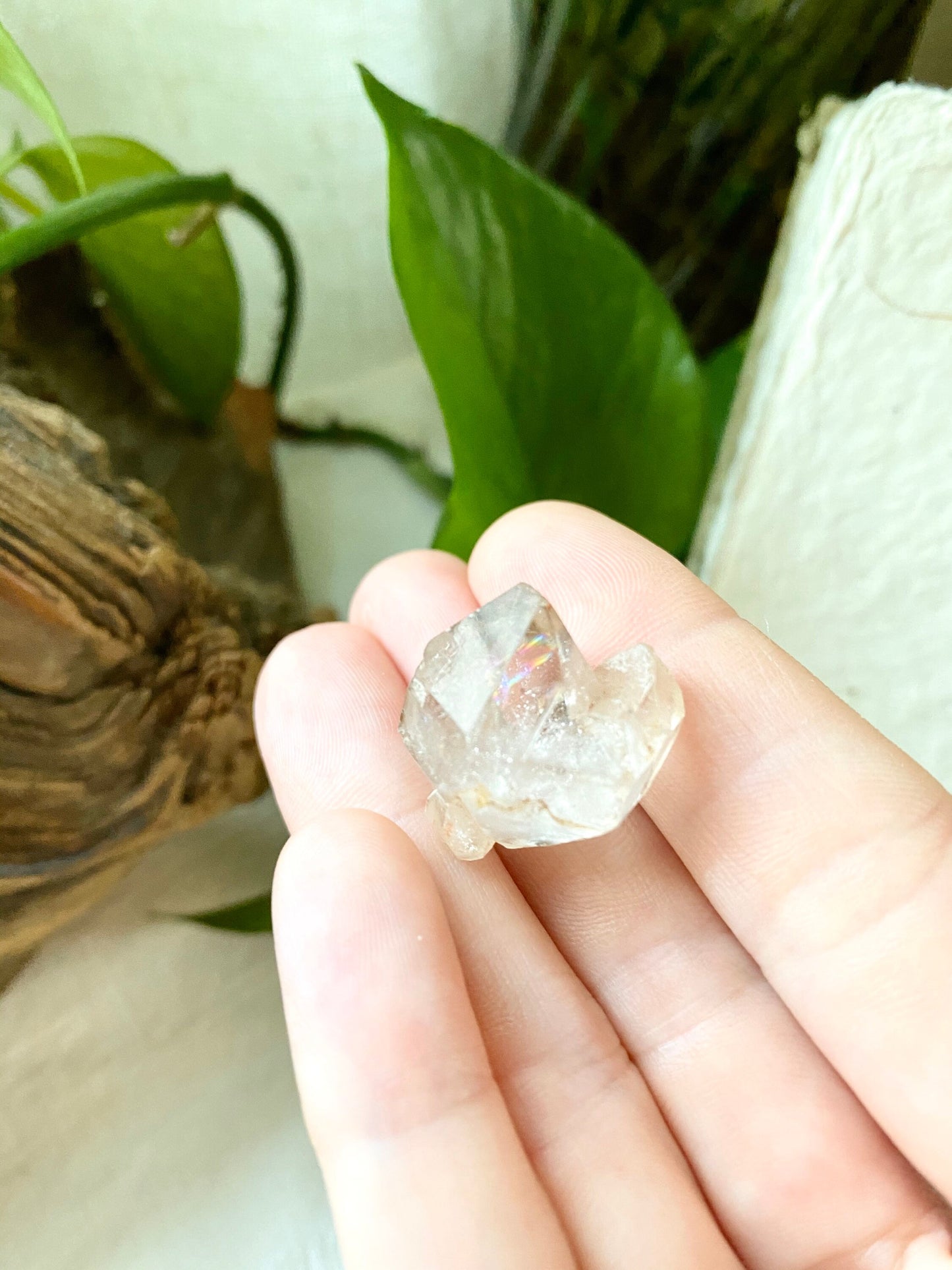 Clear Quartz “Diamond” Crystal Point from Forward Mine Nigeria - Rock Shop