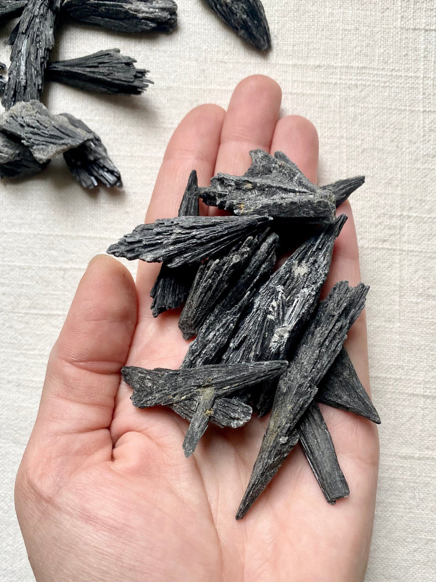 Lot of Black Kyanite Fans - 1 pound of Raw Crystal Clusters