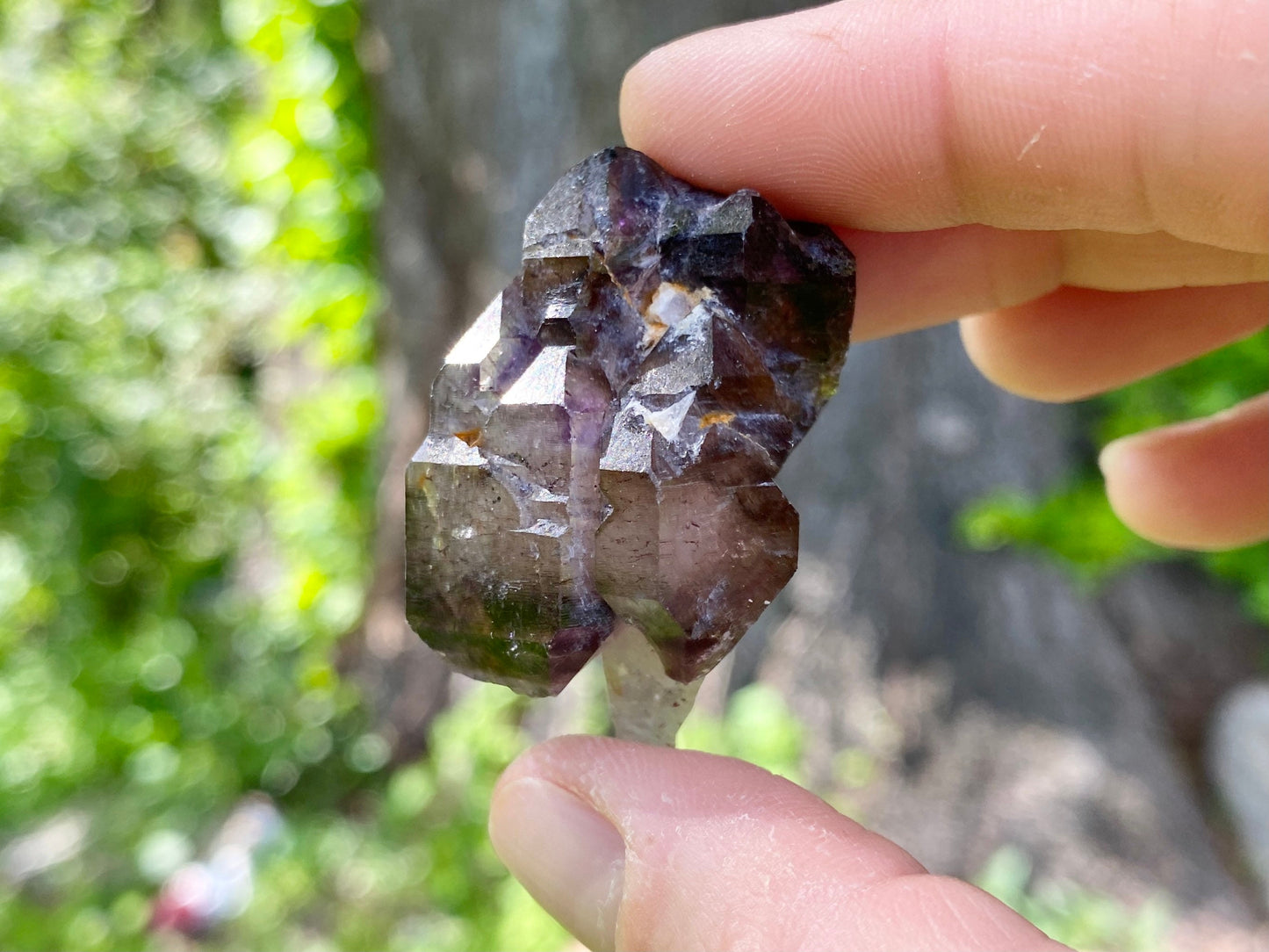Elestial Shangaan Amethyst Crystal ~ Smoky Quartz and Amethyst with Harlequin Red Hematite inclusions  - Double Terminated Scepter