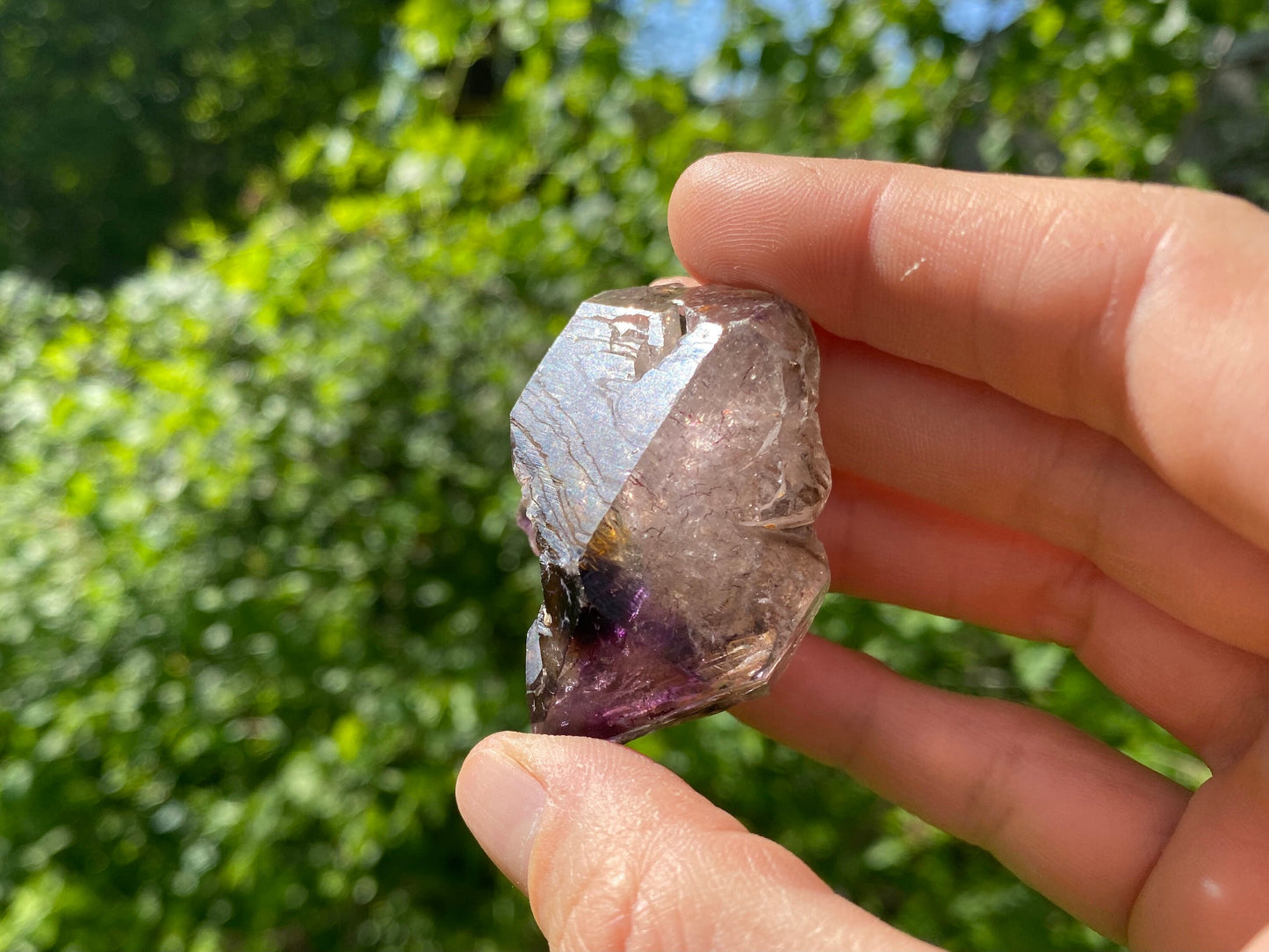 Elestial Shangaan Amethyst Crystal ~ Smoky Quartz and Amethyst with Harlequin Red Hematite inclusions- Rock Shop