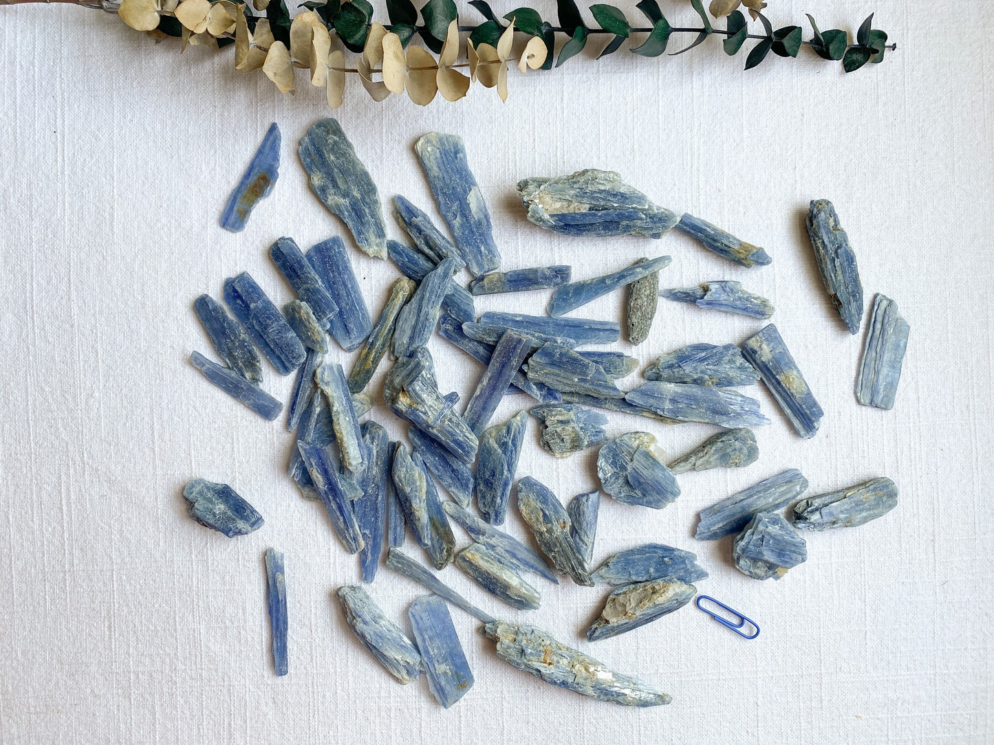 Bulk Raw Blue Kyanite - Choose 4, 8 or 16 ounces (1/4, 1/2 or 1 pound) Wholesale Crystals