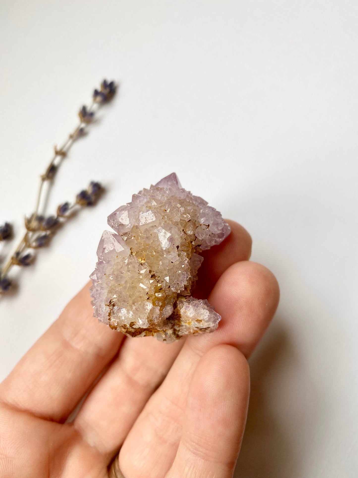 Ametrine Cactus Quartz Crystal with several terminations - Spirit Quartz Amethyst and Citrine