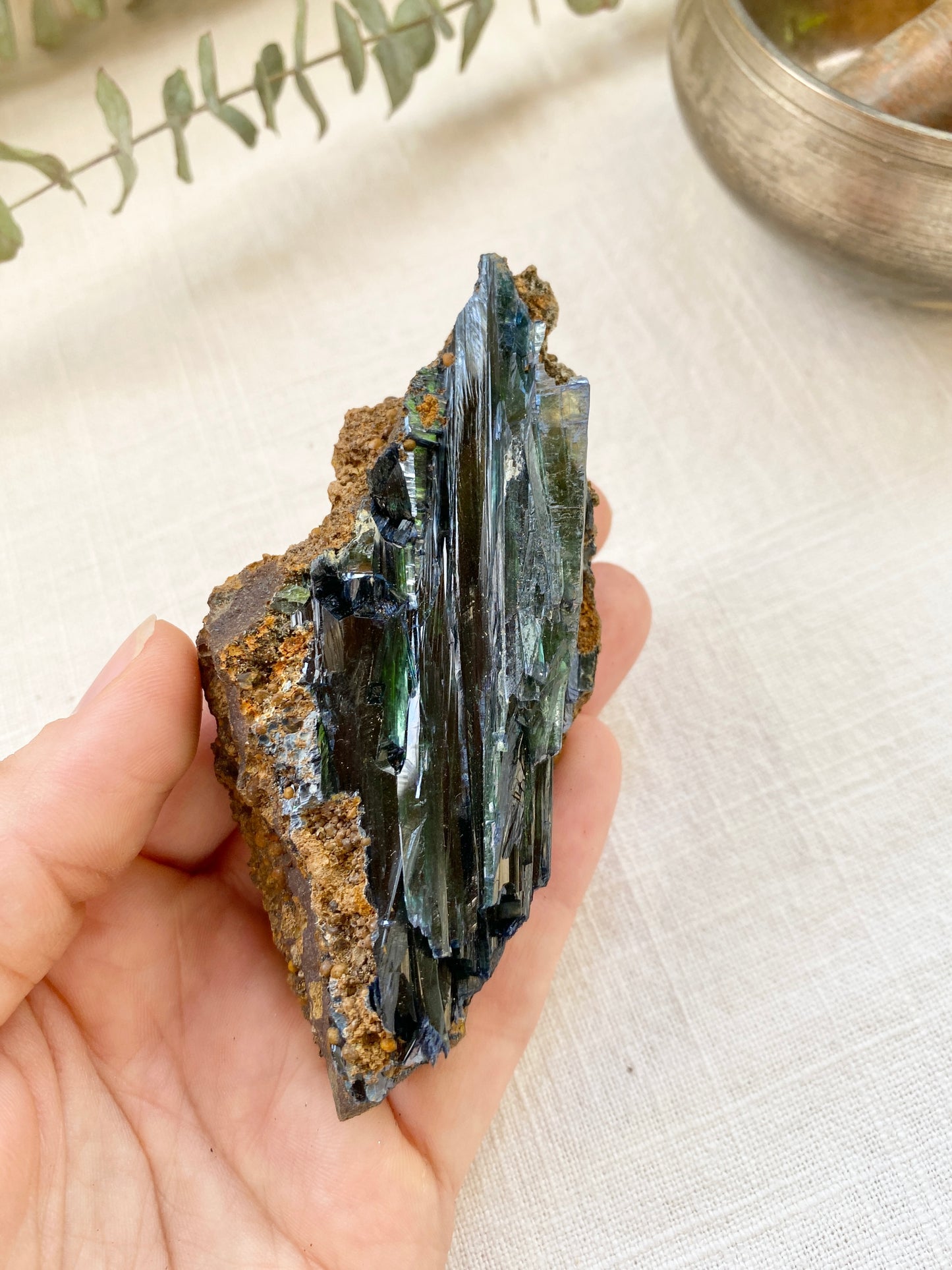 Vivianite Raw Crystal Mineral Specimen